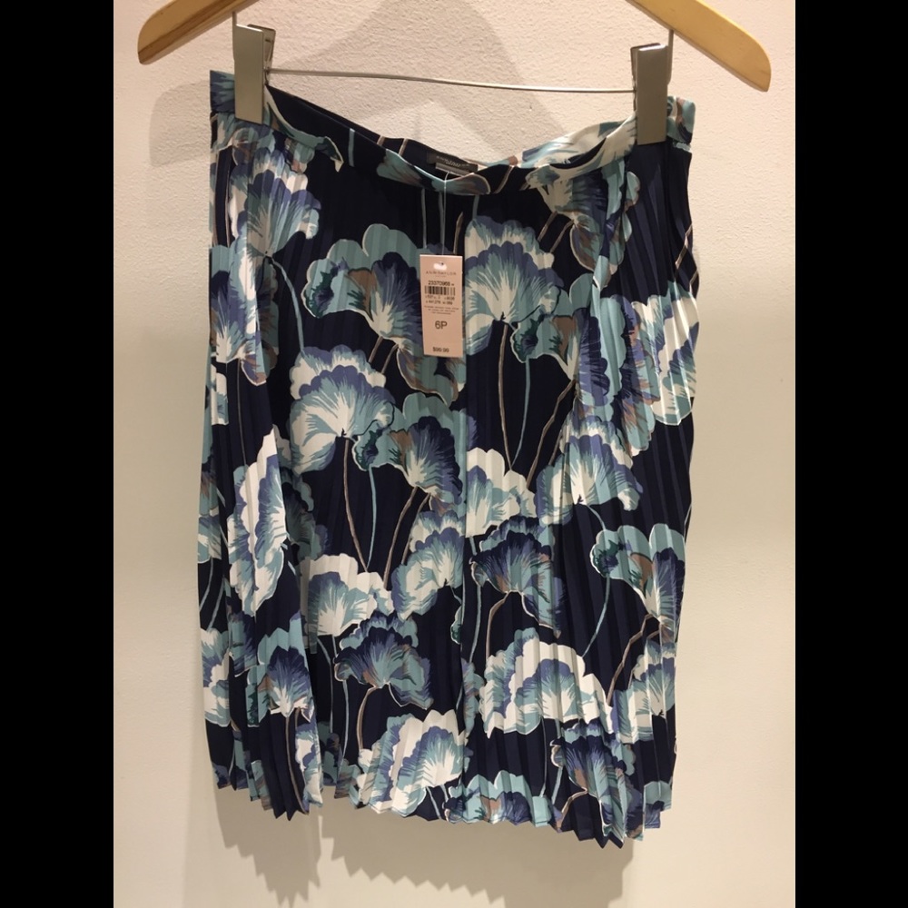 NWOT pleaded skirt